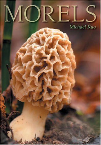 Morels [Paperback]