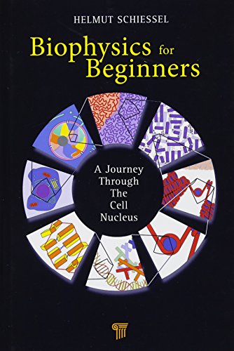 Biophysics for Beginners A Journey through the Cell Nucleus [Hardcover]