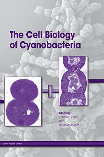 The Cell Biology Of Cyanobacteria [Hardcover]