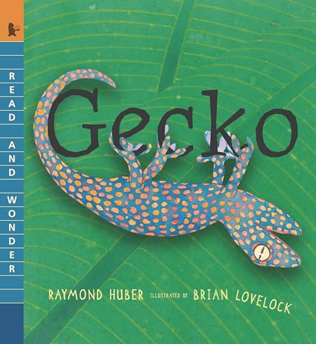 Gecko Read and Wonder [Paperback]