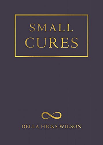Small Cures [Paperback]