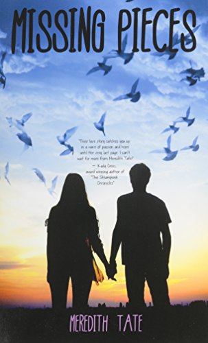 Missing Pieces [Paperback]