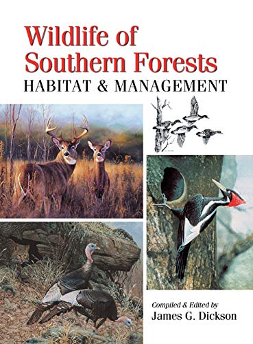 Wildlife Of The Southern Forest [Paperback]