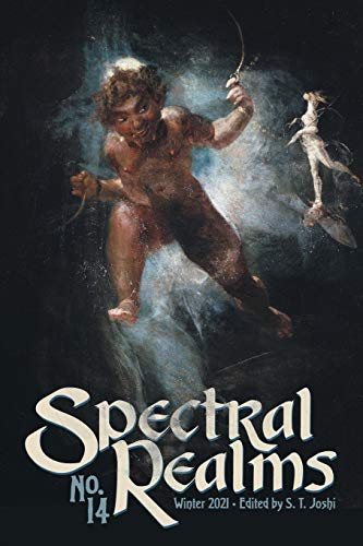 Spectral Realms No. 14 [Paperback]