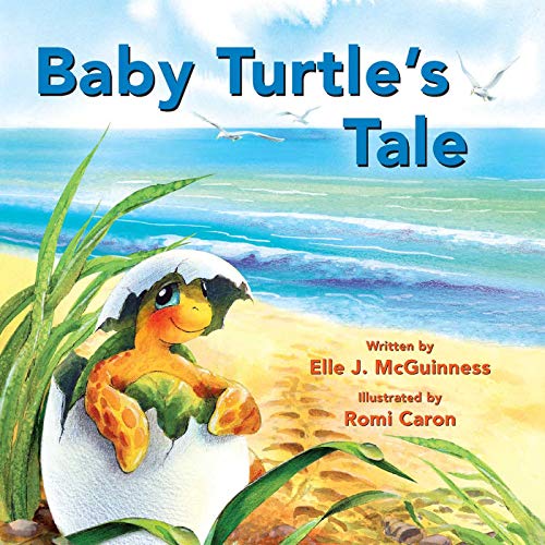 Baby Turtle&39s Tale [Board book]