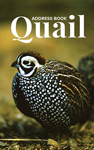 Address Book Quail [Paperback]