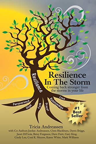 Resilience In The Storm Coming Back Stronger From The Storms In Your Life [Paperback]