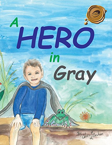 A Hero In Gray [Paperback]