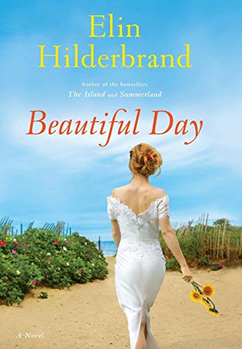 Beautiful Day A Novel [Hardcover]