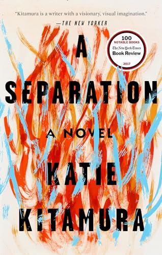 A Separation A Novel [Paperback]