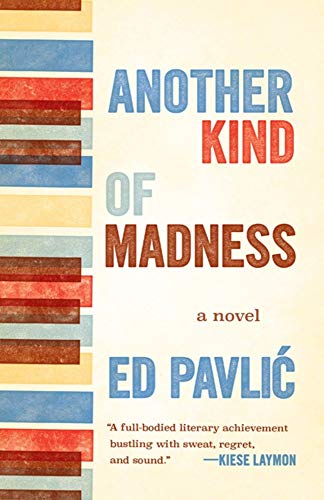 Another Kind of Madness A Novel [Paperback]