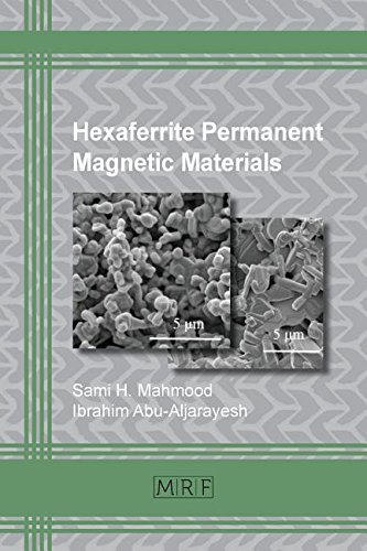 Hexaferrite Permanent Magnetic Materials (materials Research Foundations) [Paperback]